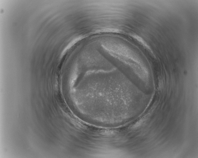 X0000061141266200512091925