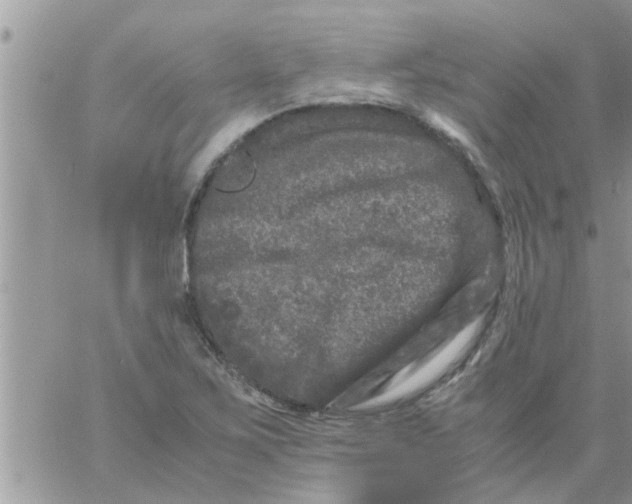 X0000061141267200512091925