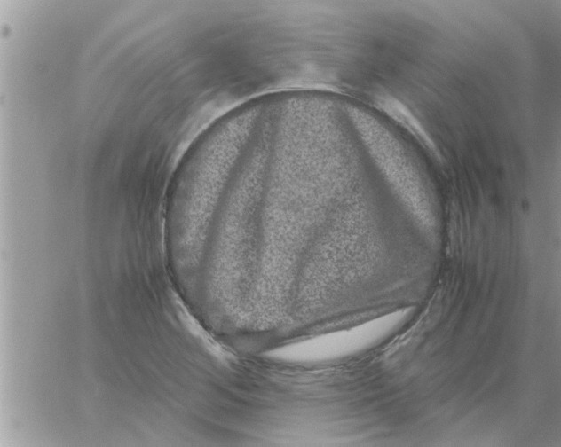 X0000061141268200512091925