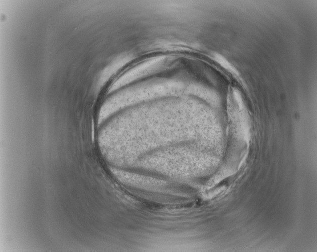 X0000061141269200512091925