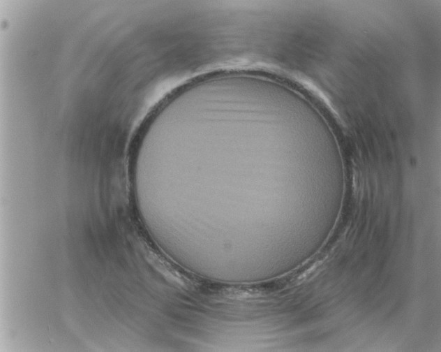 X0000061141270200512091925