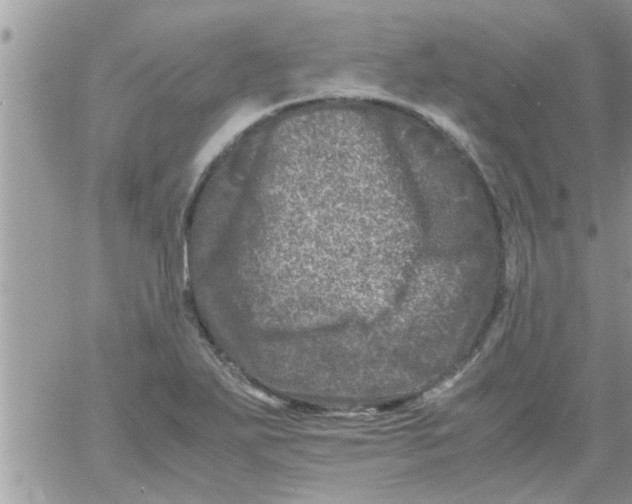 X0000061141271200512091925