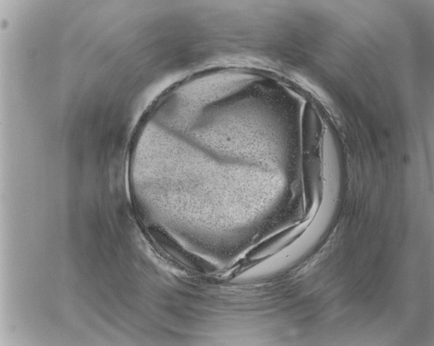 X0000061141272200512091925