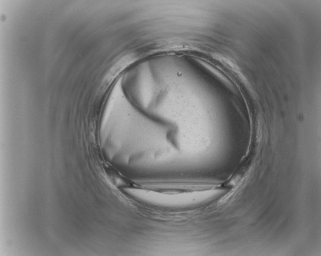 X0000061141273200512091925