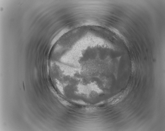 X0000061141274200512091924