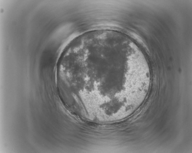 X0000061141275200512091924