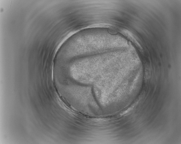 X0000061141276200512091924