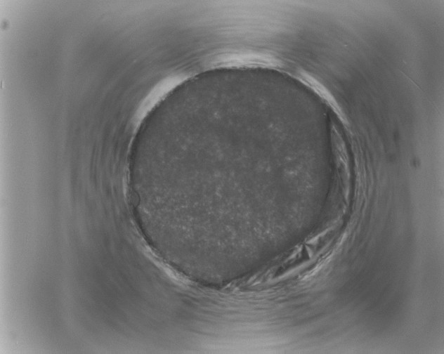 X0000061141277200512091924