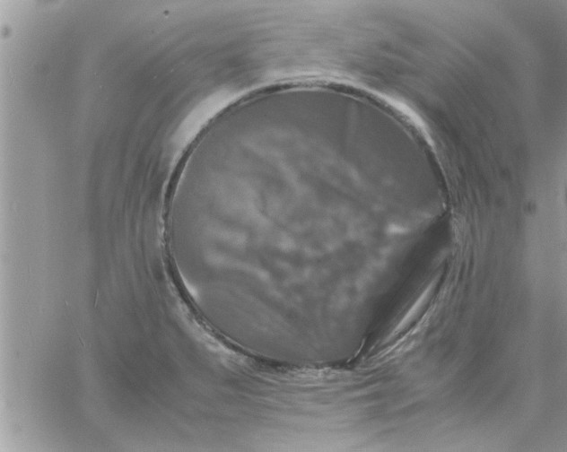 X0000061141279200512091924