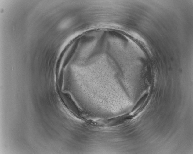 X0000061141280200512091924