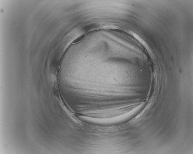 X0000061141281200512091924