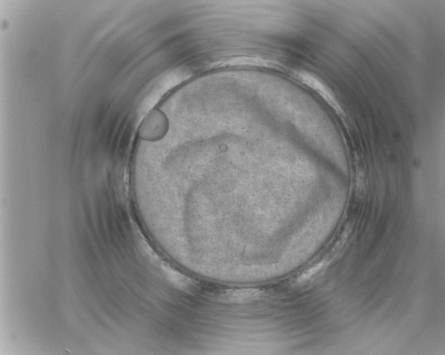 X0000061141282200512091924