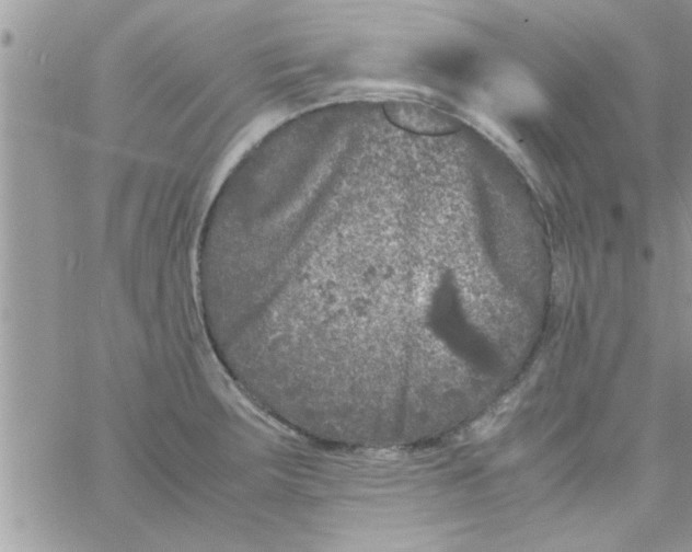 X0000061141283200512091924