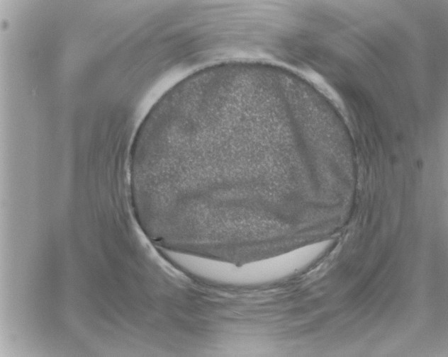 X0000061141287200512091924