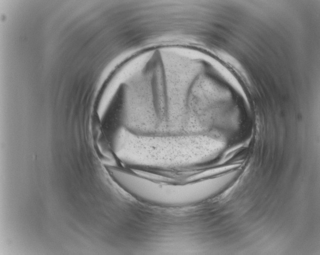 X0000061141288200512091924