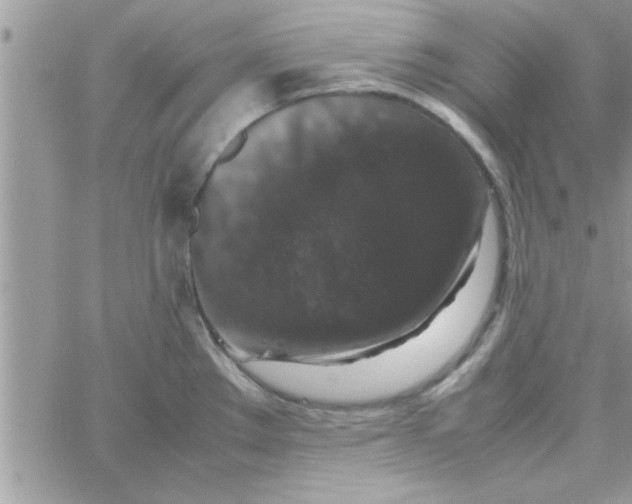 X0000061141289200512091924