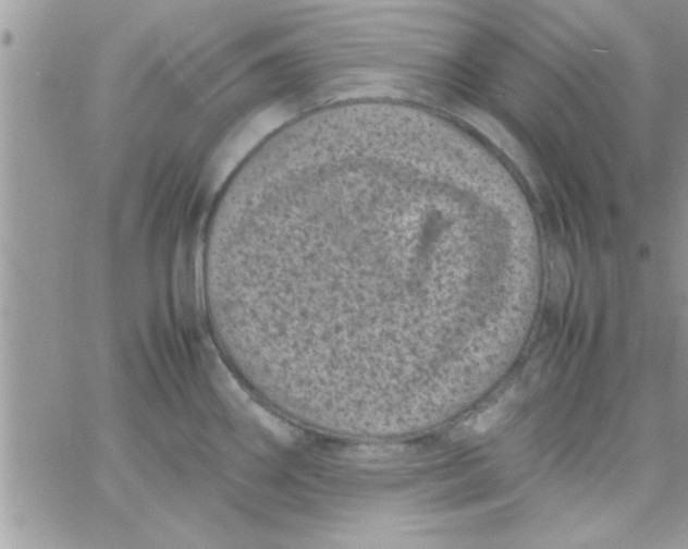 X0000061141290200512091924