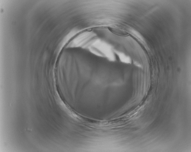 X0000061141291200512091924