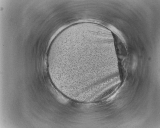 X0000061141292200512091924