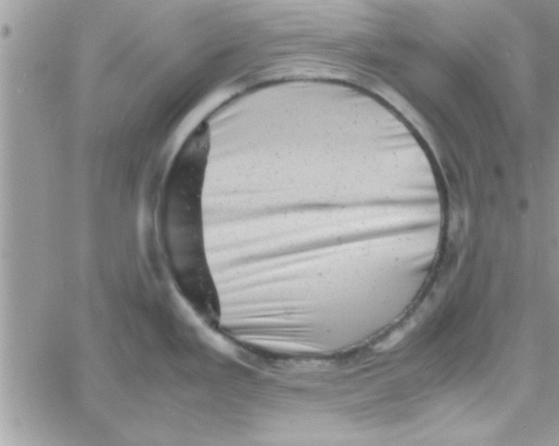 X0000061141293200512091924