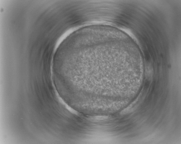 X0000061141294200512091924