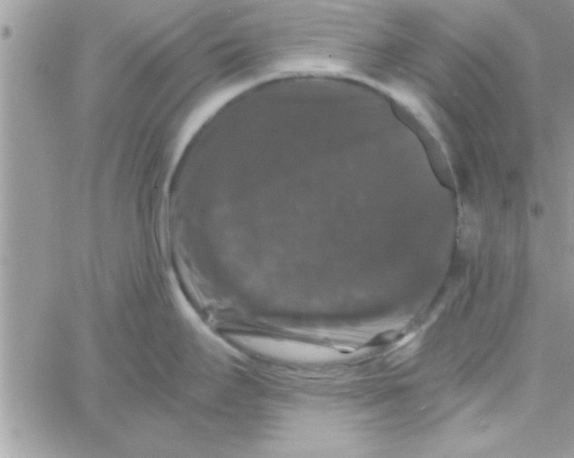 X0000061141295200512091924