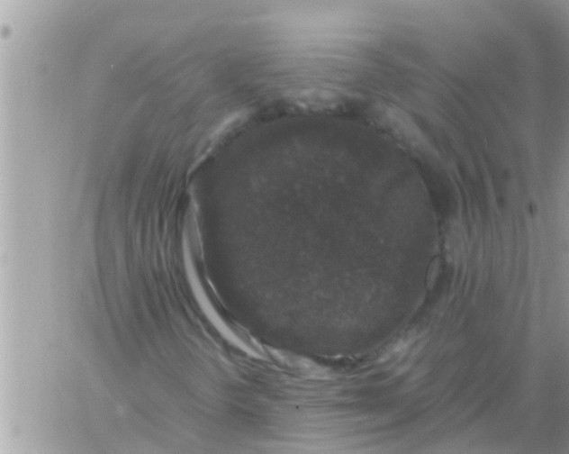 X0000061141298200512091923