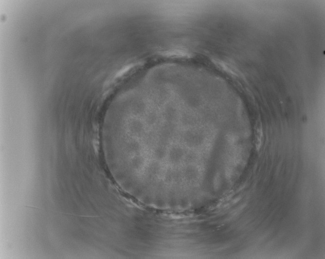 X0000061141301200512091923