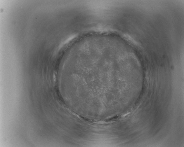 X0000061141302200512091923