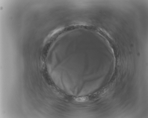 X0000061141303200512091923