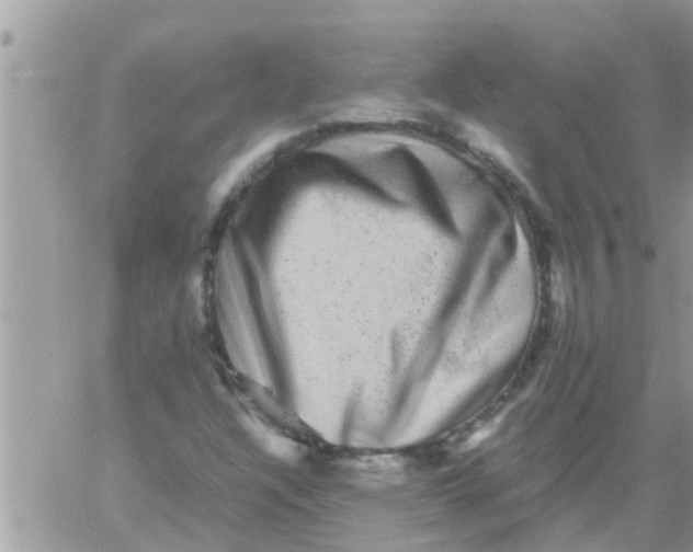 X0000061141304200512091923