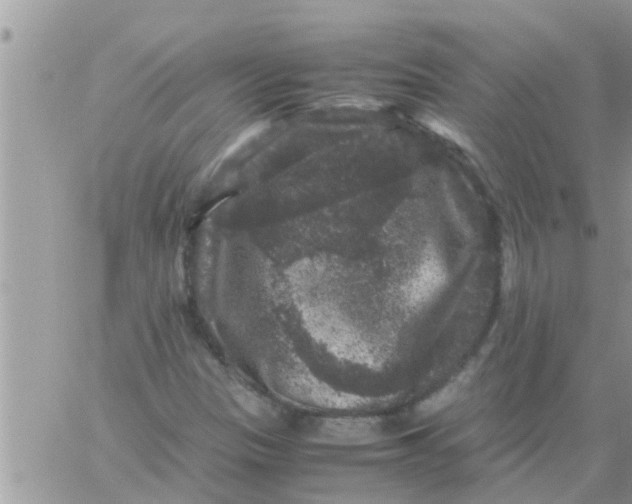 X0000061141305200512091923