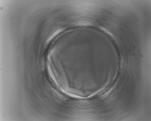 X0000061141306200512091923