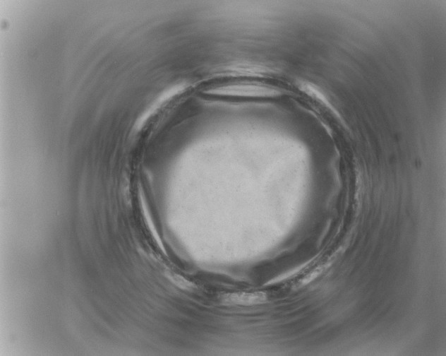 X0000061141307200512091924