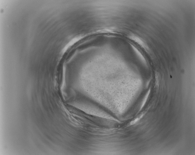 X0000061141308200512091924