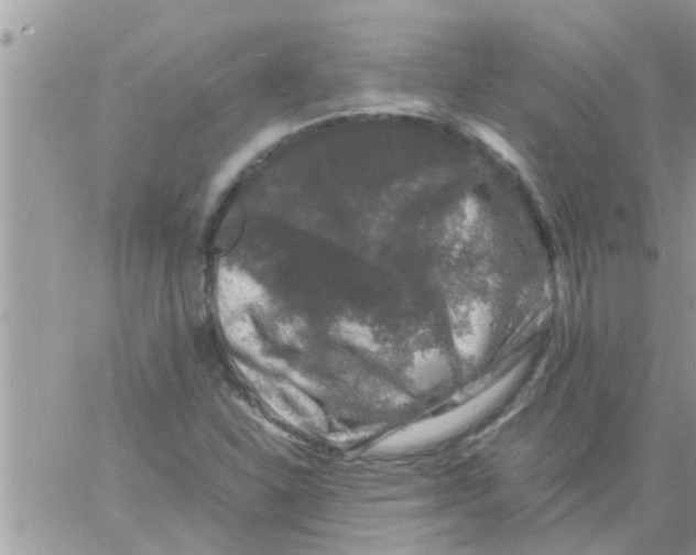 X0000061141310200512091924