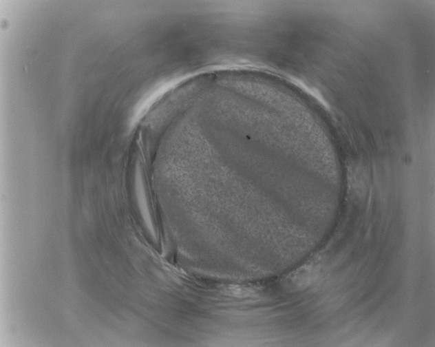 X0000061141311200512091924