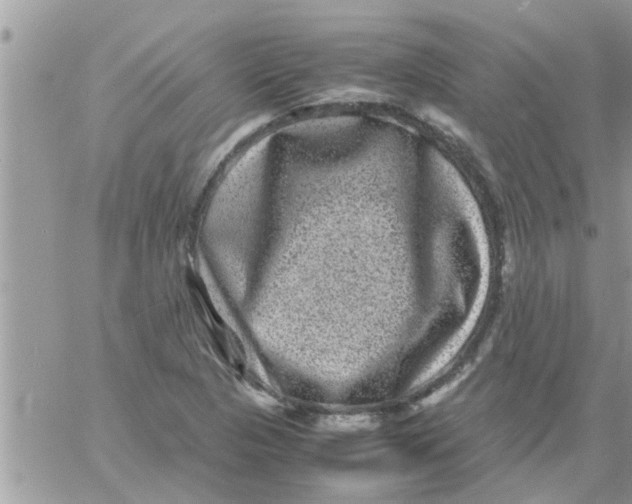 X0000061141313200512091924