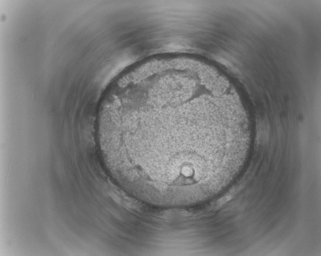 X0000061141314200512091924