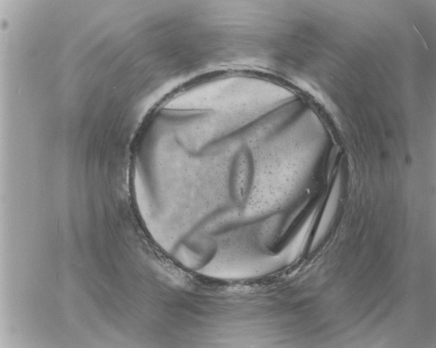 X0000061141316200512091924