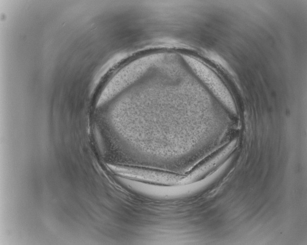 X0000061141318200512091924