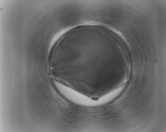 X0000061141319200512091924