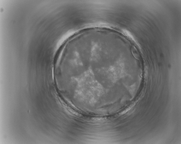 X0000061141320200512091924