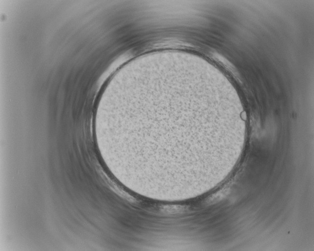 X0000061141322200512091924