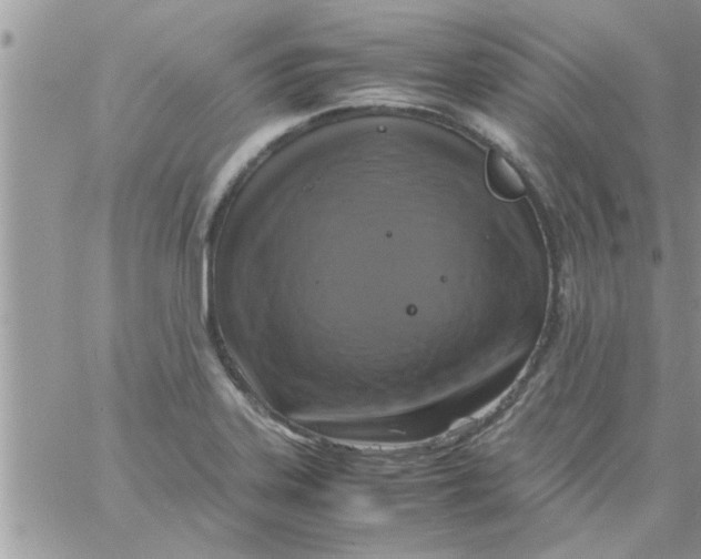 X0000061141323200512091924