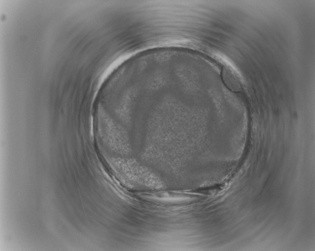 X0000061141324200512091924