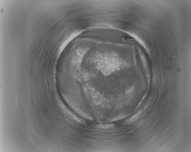 X0000061141325200512091924