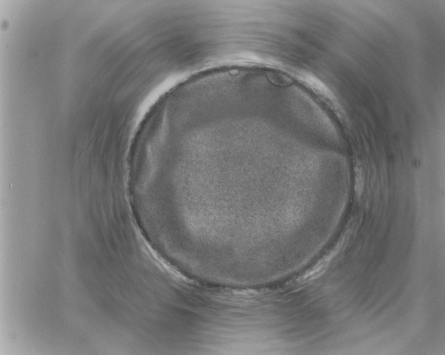 X0000061141326200512091924