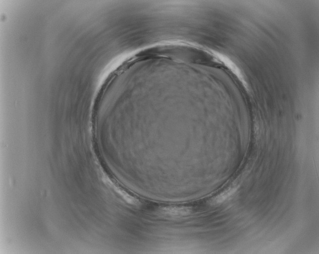 X0000061141327200512091924