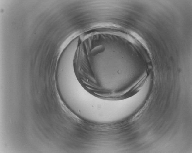 X0000061141330200512091924